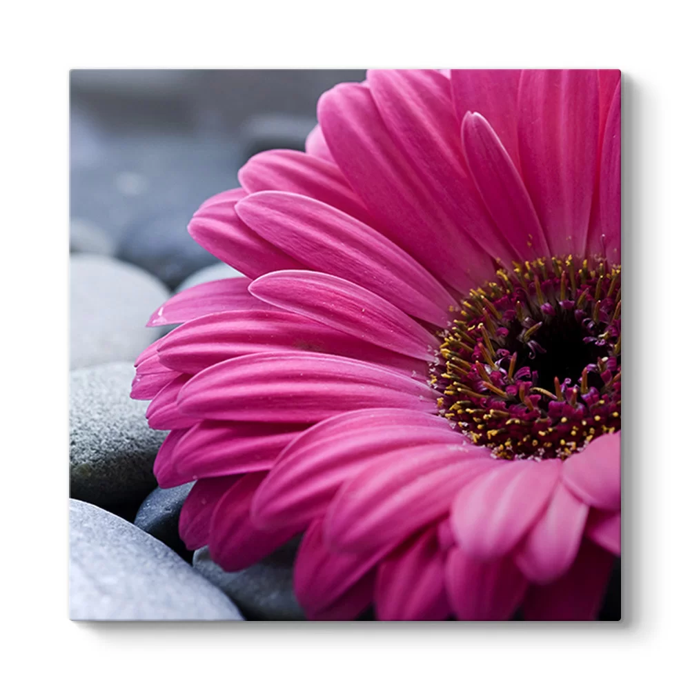 Gerbera & Taşlar Tablosu - Model 3